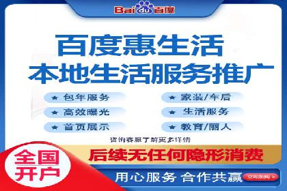 某企业通过SEO和SEM双管齐下实现业绩飞跃的案例