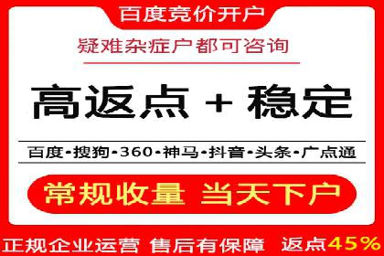 百度SEM竞价策略解析：成功案例分享